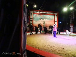 Circus YAKARI Show am 04.10.2024